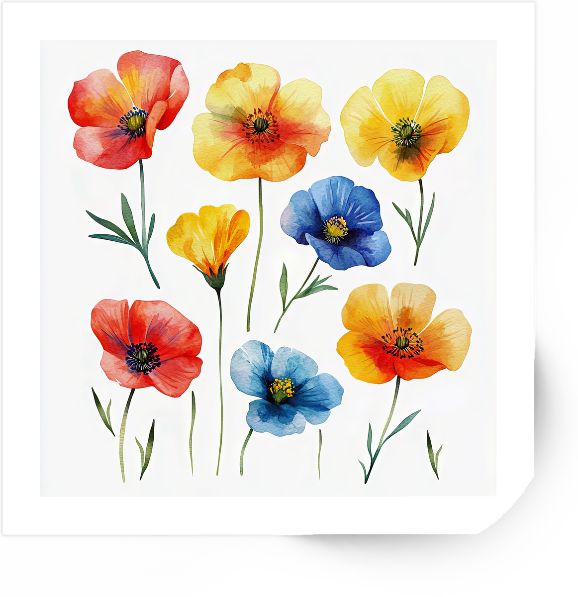 Watercolor Poppy Flowers Sticker | Colorful Wildflower Vinyl Decal | Floral Nature Gift